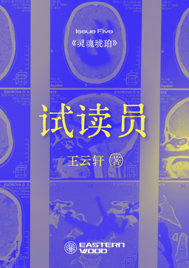 在“知识经济”时代，诞生了“试读员”这一职业：他们负责试读和评估知识的价值，并在下班前洗掉当天的工作记忆以避免侵权。这天，一位试读员在工作中读到了自己多年前的作品。在严苛的公司规定面前，他面临着艰难的选择。